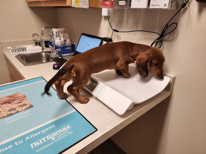 College Mall Veterinary Hospital Picture 7