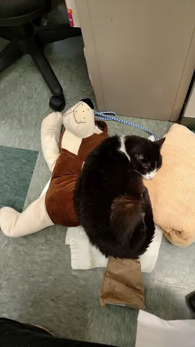College Mall Veterinary Hospital Picture 10