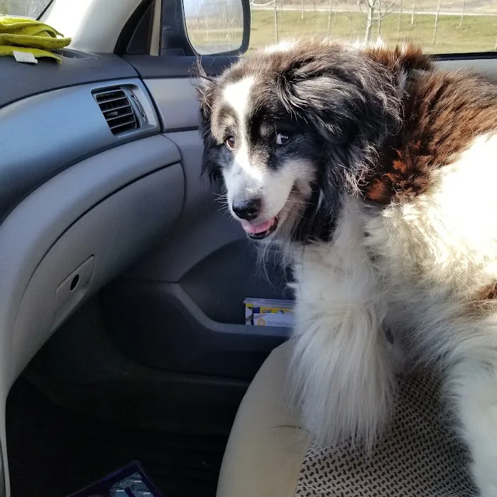 Monroe County Humane Association Picture 4