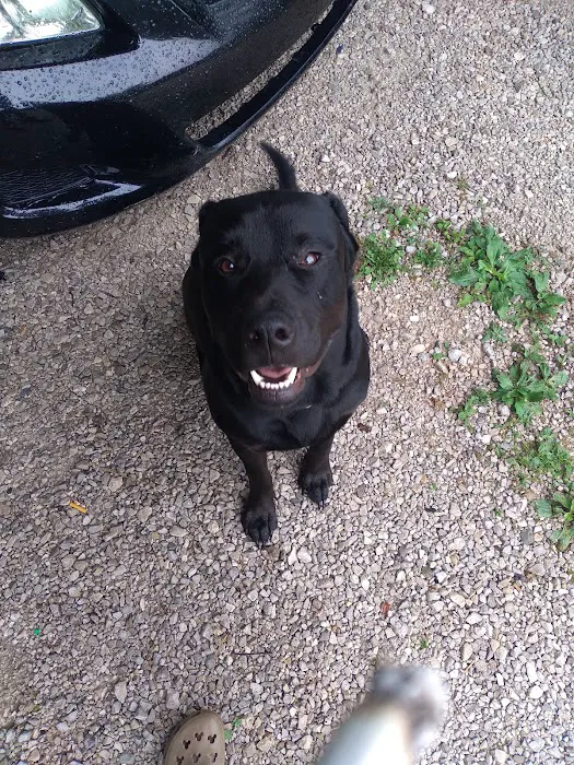 Monroe County Humane Association Picture 6