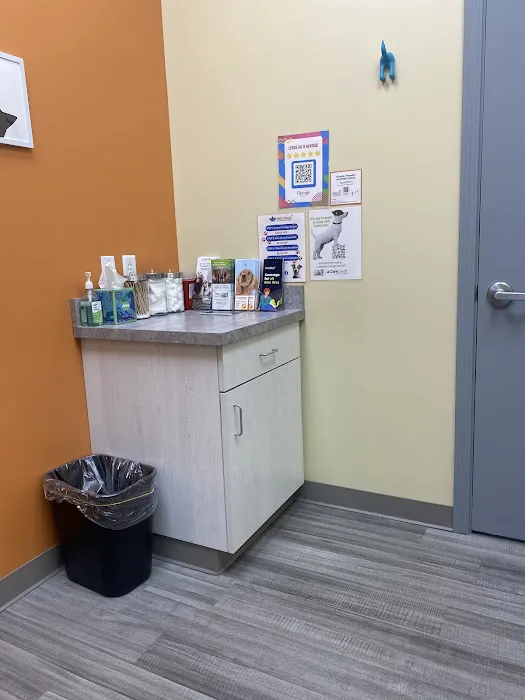 VetCheck Pet Urgent Care Center Bloomington Picture 1