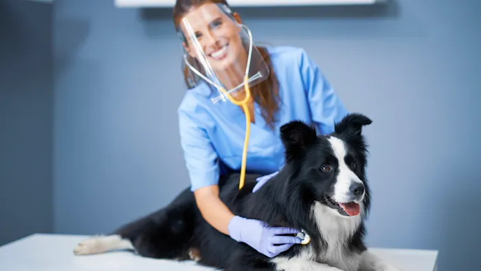 Combs Veterinary Clinic Picture 10