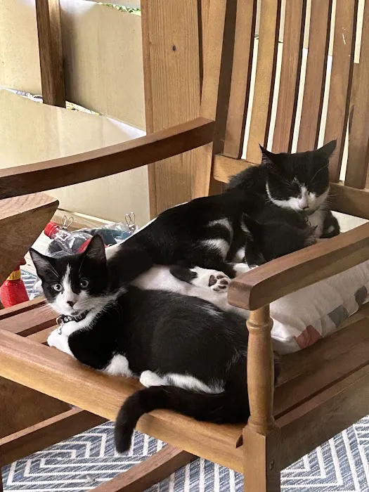 Pets Alive - Nonprofit Spay/Neuter & Wellness Clinic Picture 4