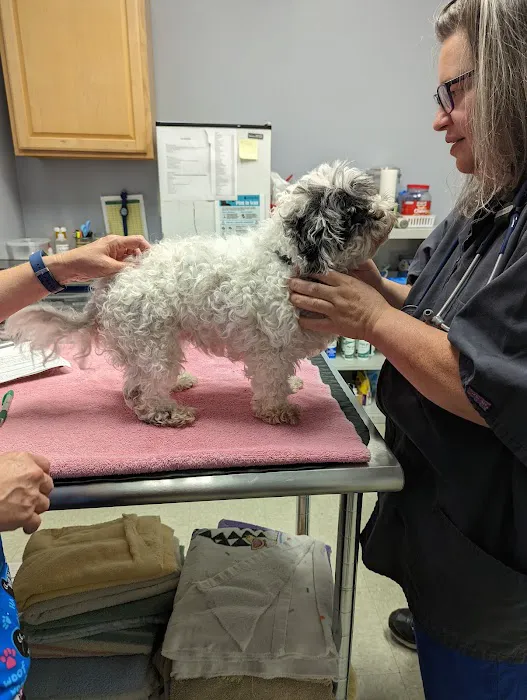 Pets Alive - Nonprofit Spay/Neuter & Wellness Clinic Picture 8