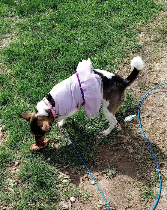 Pets Alive - Nonprofit Spay/Neuter & Wellness Clinic Picture 10