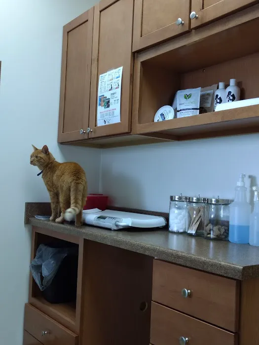 Furry Friends Veterinary Hospital Picture 3