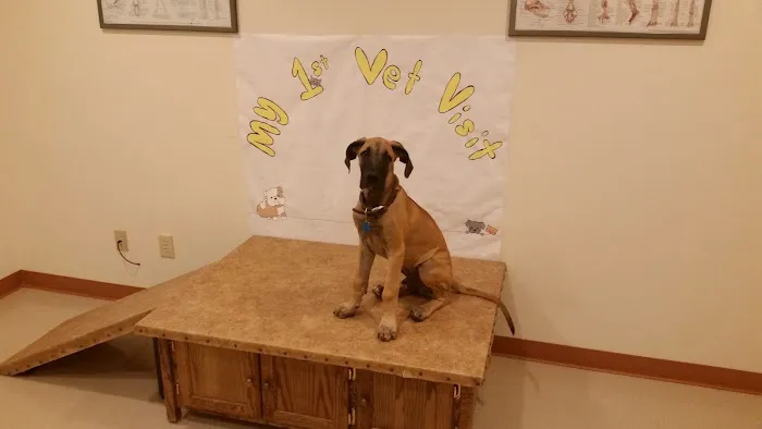 BloomingPaws Clinic Resort & Spa Picture 9