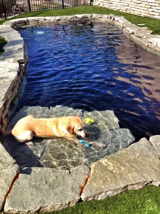 BloomingPaws Clinic Resort & Spa Picture 7