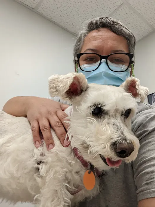 Arlington Heights Veterinary Hospital - South Picture 6