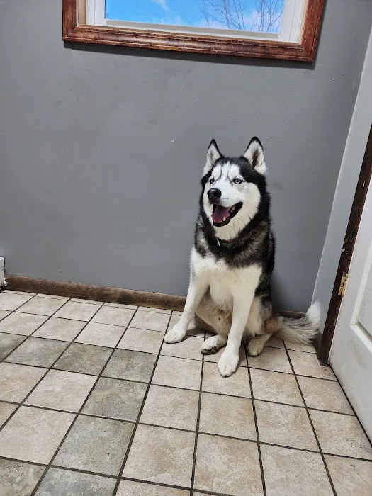 Royer Veterinary Services Picture 8