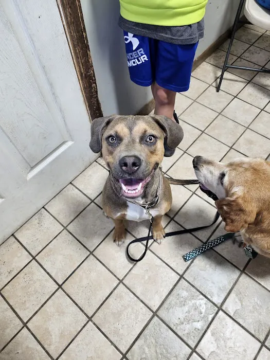 Royer Veterinary Services Picture 5