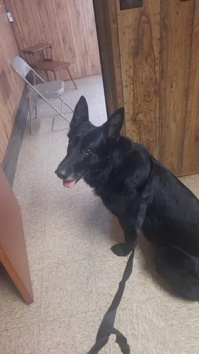 Tucker Veterinary Clinic Picture 6