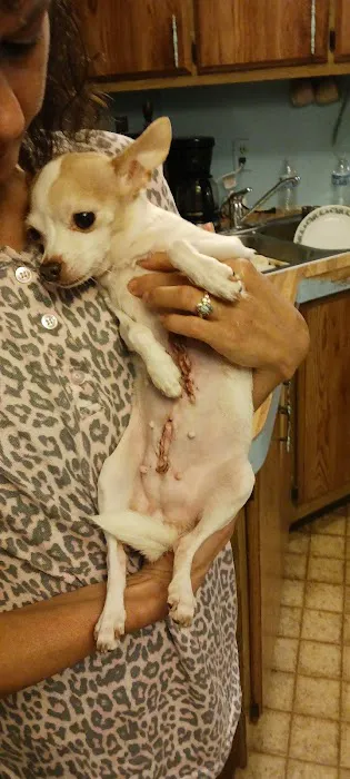 Tucker Veterinary Clinic Picture 4
