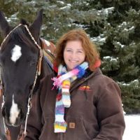 Head To Tail Chiropractic & Equine Medicine ico