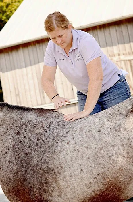 Head To Tail Chiropractic & Equine Medicine Picture 3