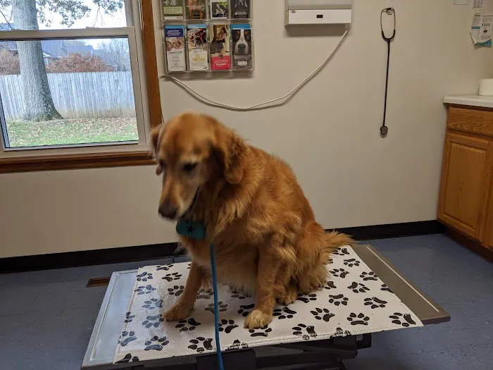 Eastside Veterinary Hospital Picture 2