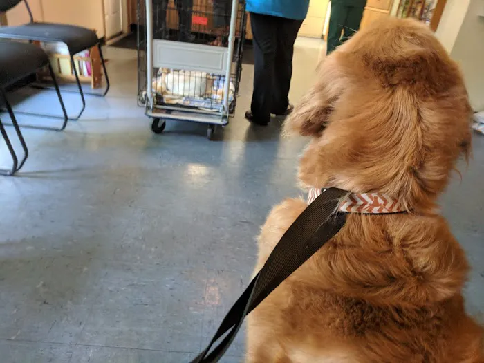 Eastside Veterinary Hospital Picture 1