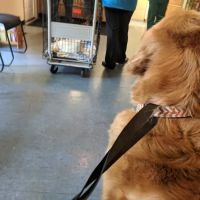 Eastside Veterinary Hospital ico
