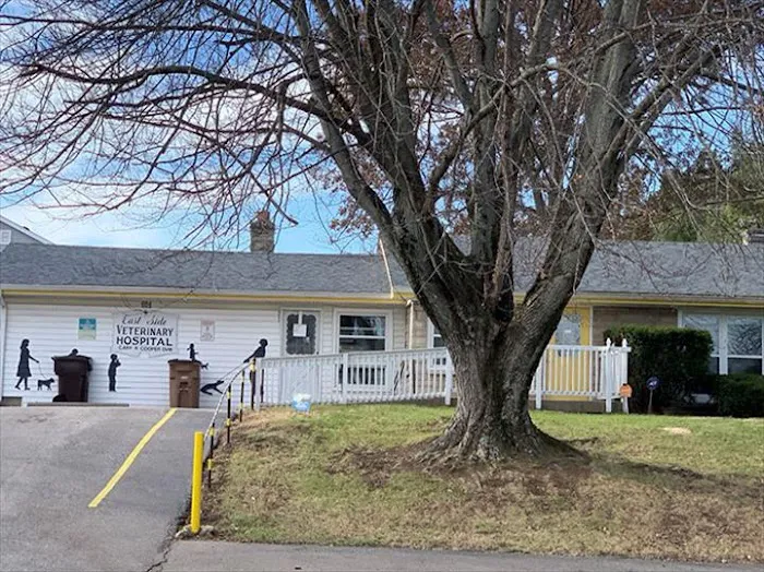 Eastside Veterinary Hospital Picture 6
