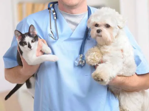 Eastside Veterinary Hospital Picture 3