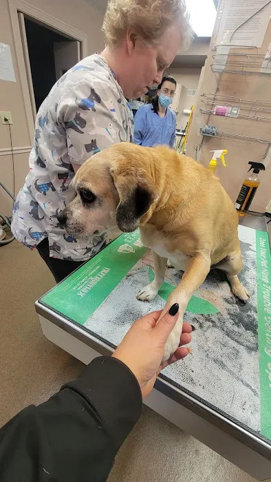 Athens Animal Clinic Picture 8