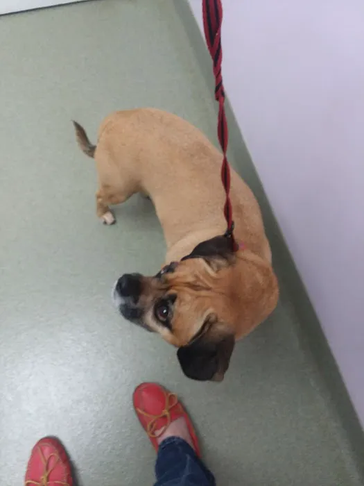 Athens Animal Clinic Picture 5