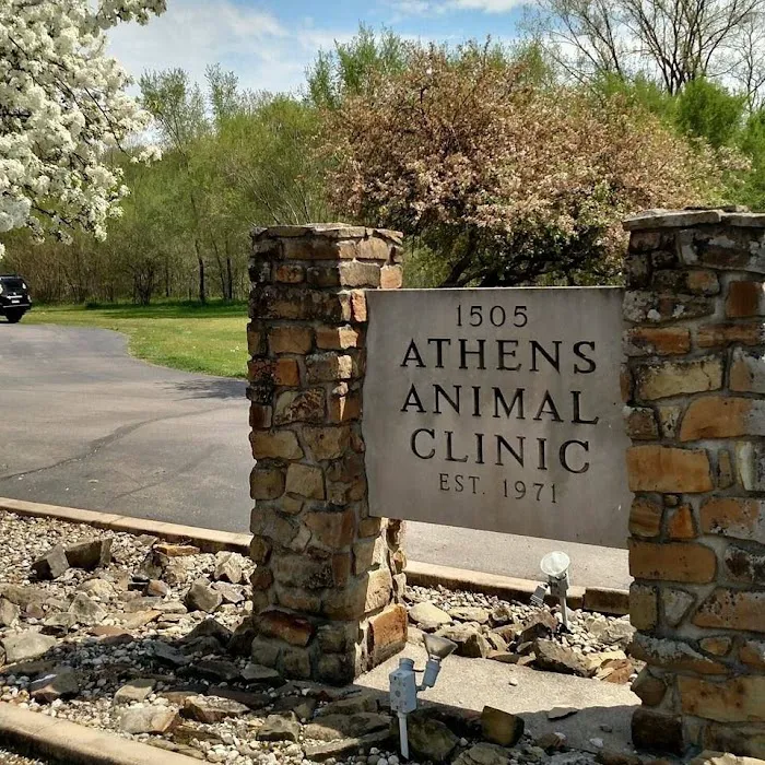 Athens Animal Clinic Picture 10