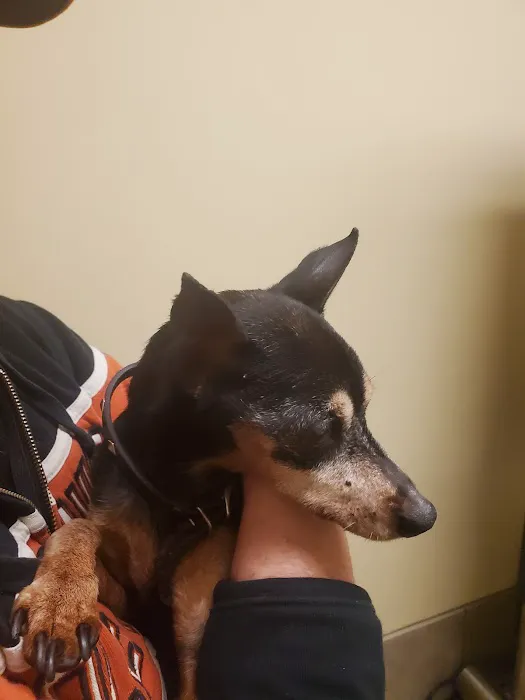Columbus Animal Hospital Picture 2