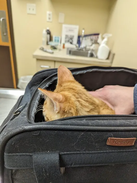 Columbus Animal Hospital Picture 3