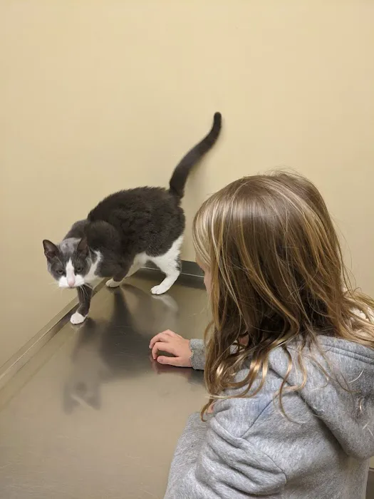 Columbus Animal Hospital Picture 9