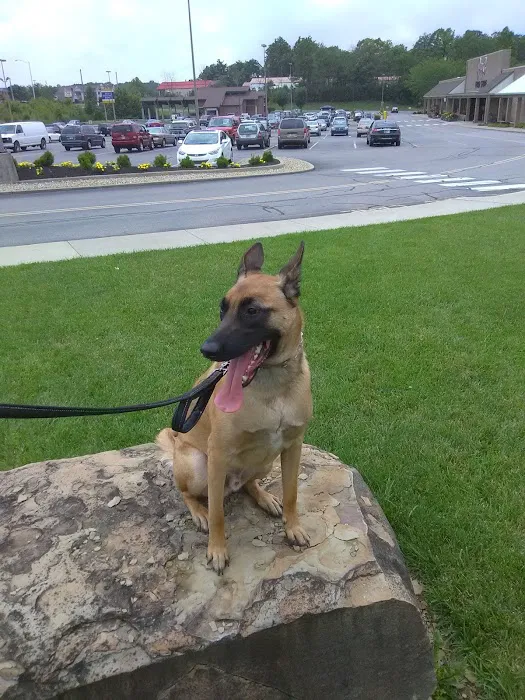 Hope Veterinary Clinic West Picture 1