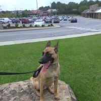 Hope Veterinary Clinic West ico