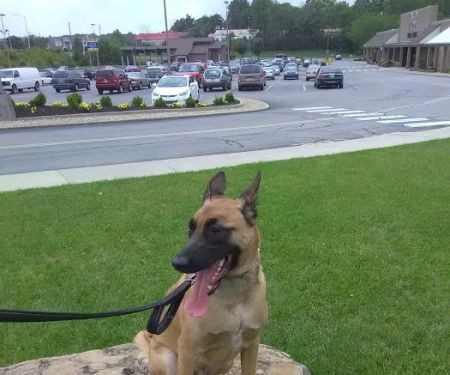 Hope Veterinary Clinic West