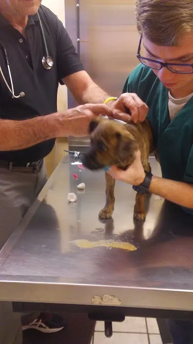 Best Friends Animal Healthcare Picture 2