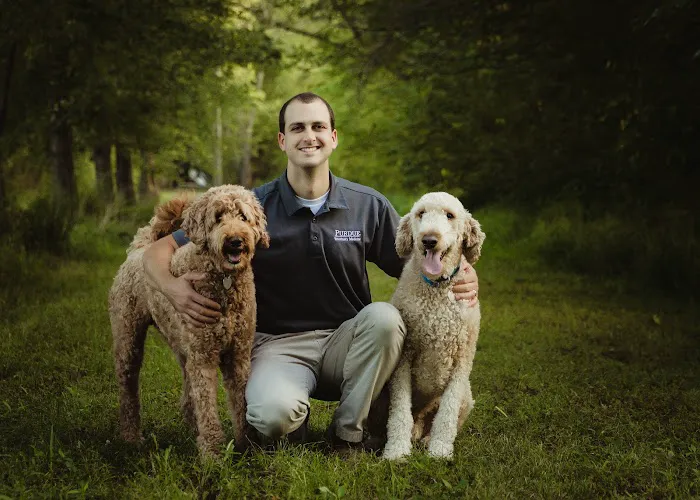 Best Friends Animal Healthcare Picture 3