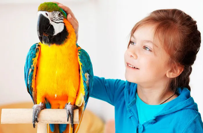RLM Veterinary Services P.C. Picture 5