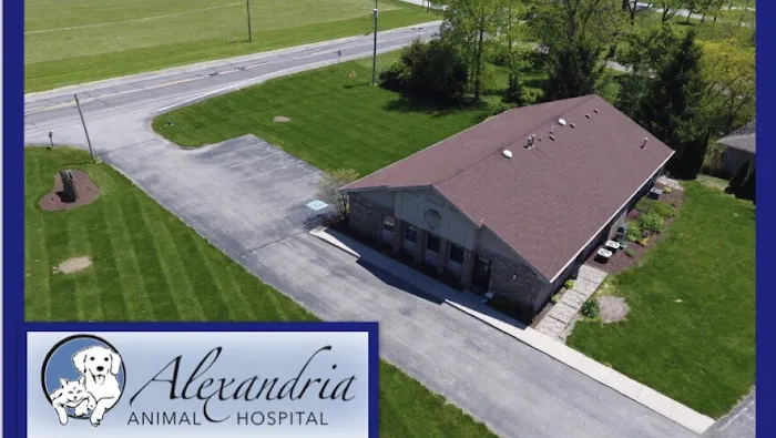 Alexandria Animal Hospital Picture 5