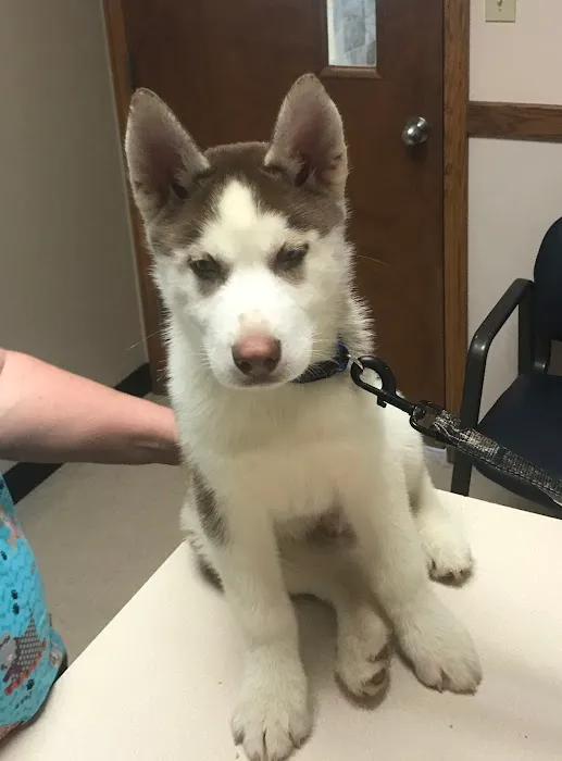 Alexandria Animal Hospital Picture 8