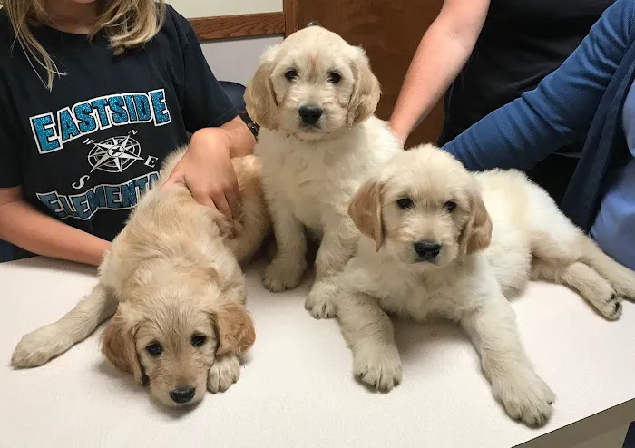 Alexandria Animal Hospital Picture 1