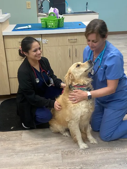 Noah's Animal Hospital North Picture 8