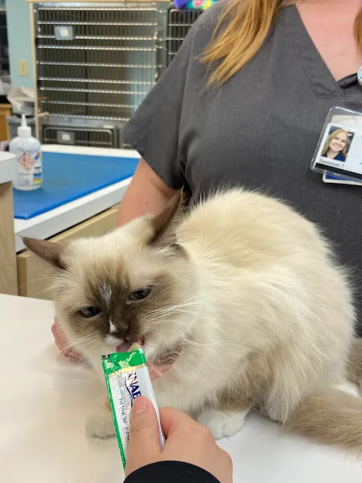 Noah's Animal Hospital North Picture 6