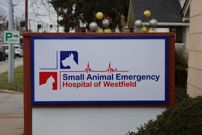 Small Animal Emergency Hospital of Westfield Picture 3