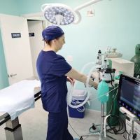 Small Animal Emergency Hospital of Westfield ico