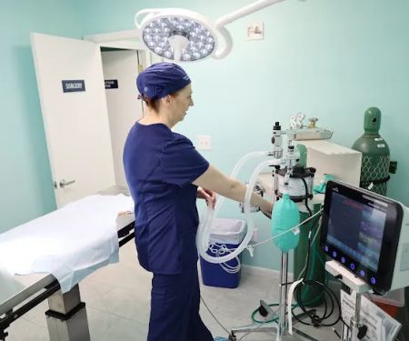 Small Animal Emergency Hospital of Westfield