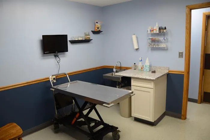 Airport Veterinary Clinic Picture 1