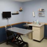 Airport Veterinary Clinic