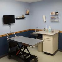 Airport Veterinary Clinic ico