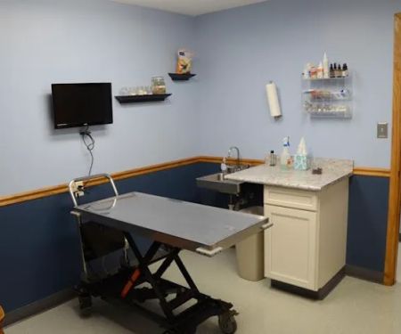 Airport Veterinary Clinic