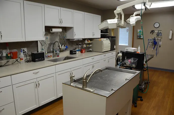 Airport Veterinary Clinic Picture 8