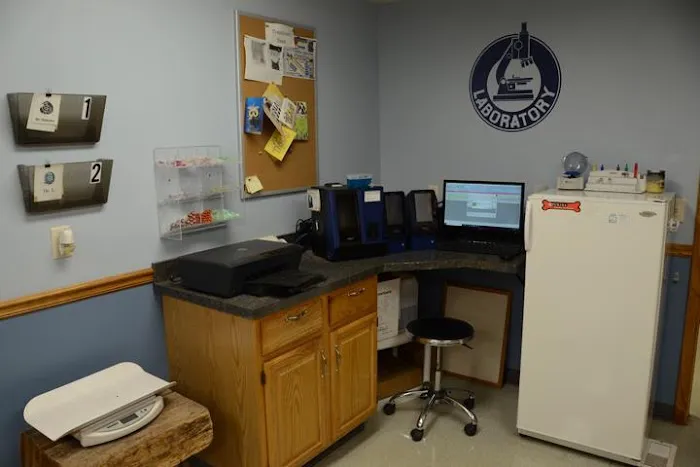 Airport Veterinary Clinic Picture 7